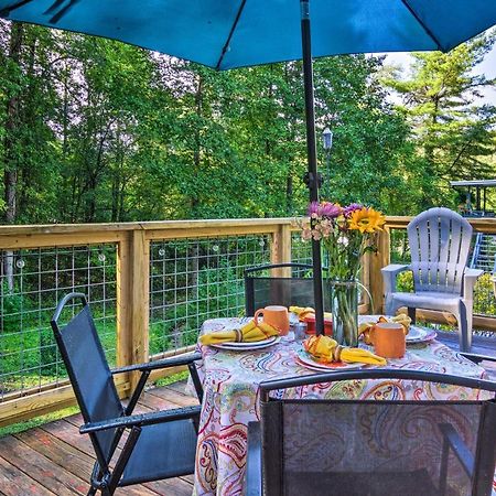 Shaw Creek Cottage With Fire Pit And Forest Views Hendersonville Extérieur photo
