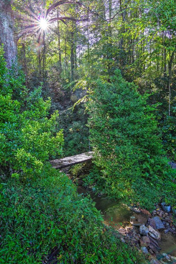 Shaw Creek Cottage With Fire Pit And Forest Views Hendersonville Extérieur photo